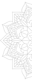 shape